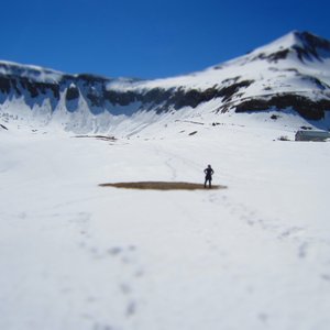 Près Du Coeur Sauvage