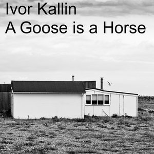A Goose is a Horse