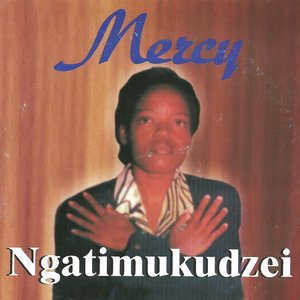 Ngatimukudzei