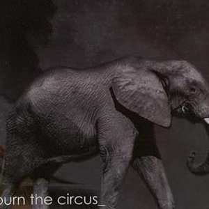 Burn The Circus