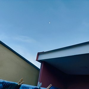 “De mi patio hasta la luna”的封面