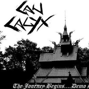 The Journey Begins....Demo #1