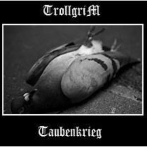 Taubenkrieg