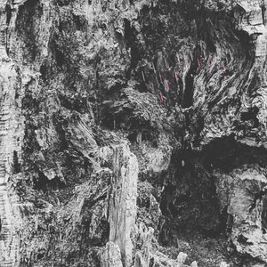 MARBLED BARK