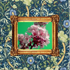 Desert Outpost (single)