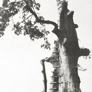 Les Sorciers Du Theil 的头像