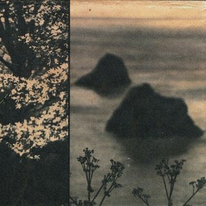 akurise 的头像