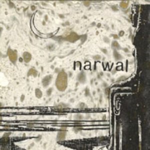 Nirvana 2