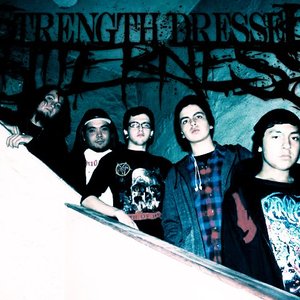 Strength Dressed Bitterness 的头像