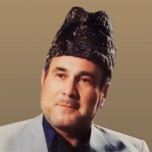 Salim Moazenzadeh 的头像