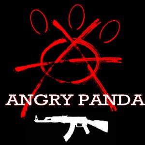 Image for 'Angry Panda'