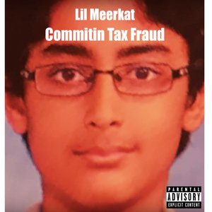 Commitin Tax Fraud