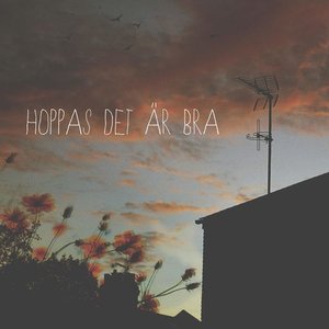 Hoppas det är bra - Single