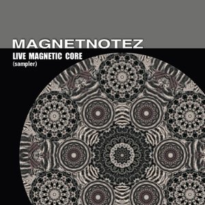 Live Magnetic Core (Sampler)