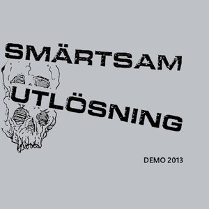 Demo 2013