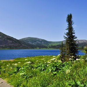 Haydn: Piano Concerto No. 2: Mahler: Symphony No. 4