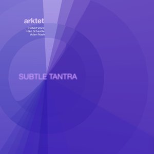Subtle Tantra