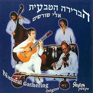 אלי שורשים