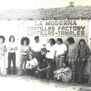 Tortilla Factory için avatar