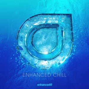 Enhanced Chill, Vol. 5