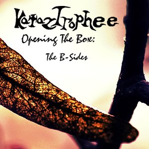 Image for 'Opening The Box: The B-Sides'