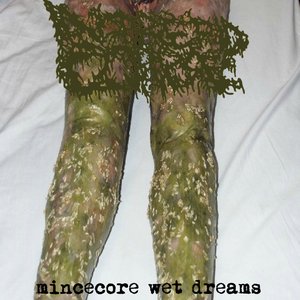 Mincecore Wet Dreams