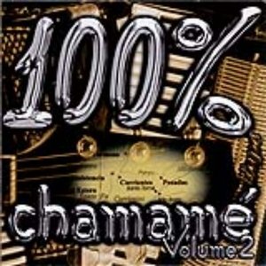 100 % Chamamé - Vol. 2