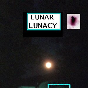 Lunar Lunacy