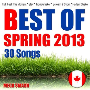 Best of Spring 2013 (Incl. Feel This Moment, Stay, Troublemaker, Scream & Shout, Harlem Shake)