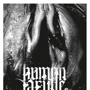 Perdition From The Virgins Mouth cover