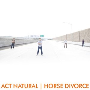 Horse Divorce