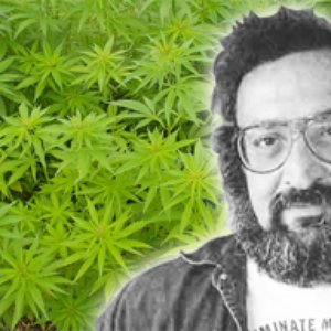 Jack Herer 的头像