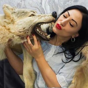 Can't Let Go - Single