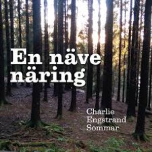 En Näve Näring