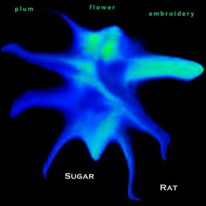 Sugar Rat