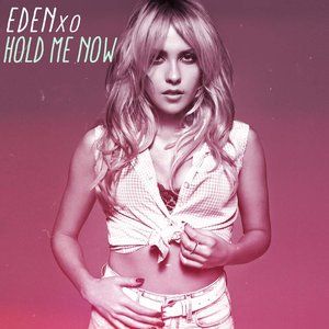 Image for 'Hold Me Now'