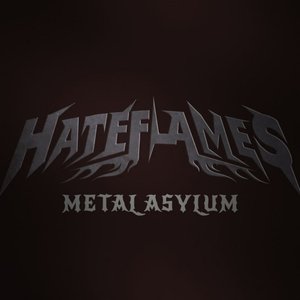 Metal Asylum (Single2020) [Explicit]