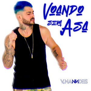 Voando sem asa