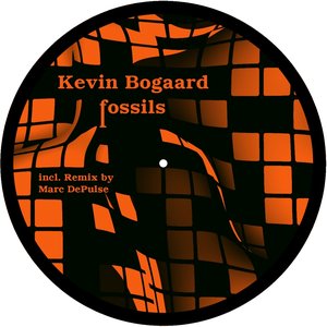 Fossils