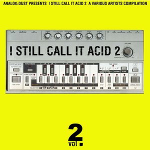 I Still Call it Acid Vol.2