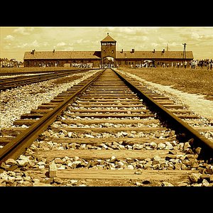 'Auschwitz - Birkenau'