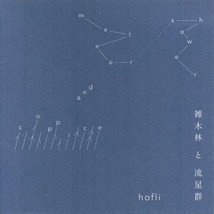 雑木林と流星群