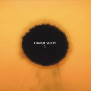 Barcode Brothers - T. - Zortam Music