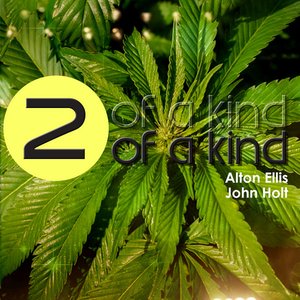 Two of a Kind - Alton Ellis and John Holt