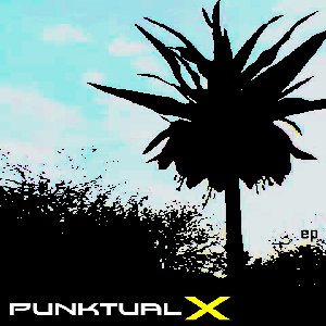 Punktual X のアバター