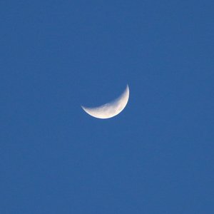 Snowless Winter Interlude - Single