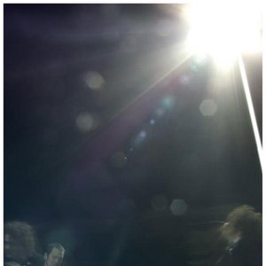 Halos Were Found At The Landing Site 的头像
