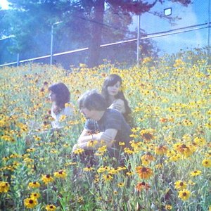 Avatar de The Stargazer Lilies