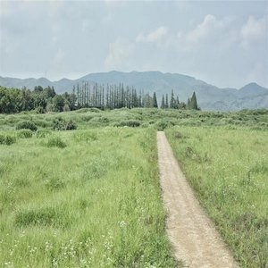 轻音乐催眠曲