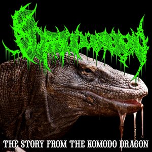 The story from the komodo dragon
